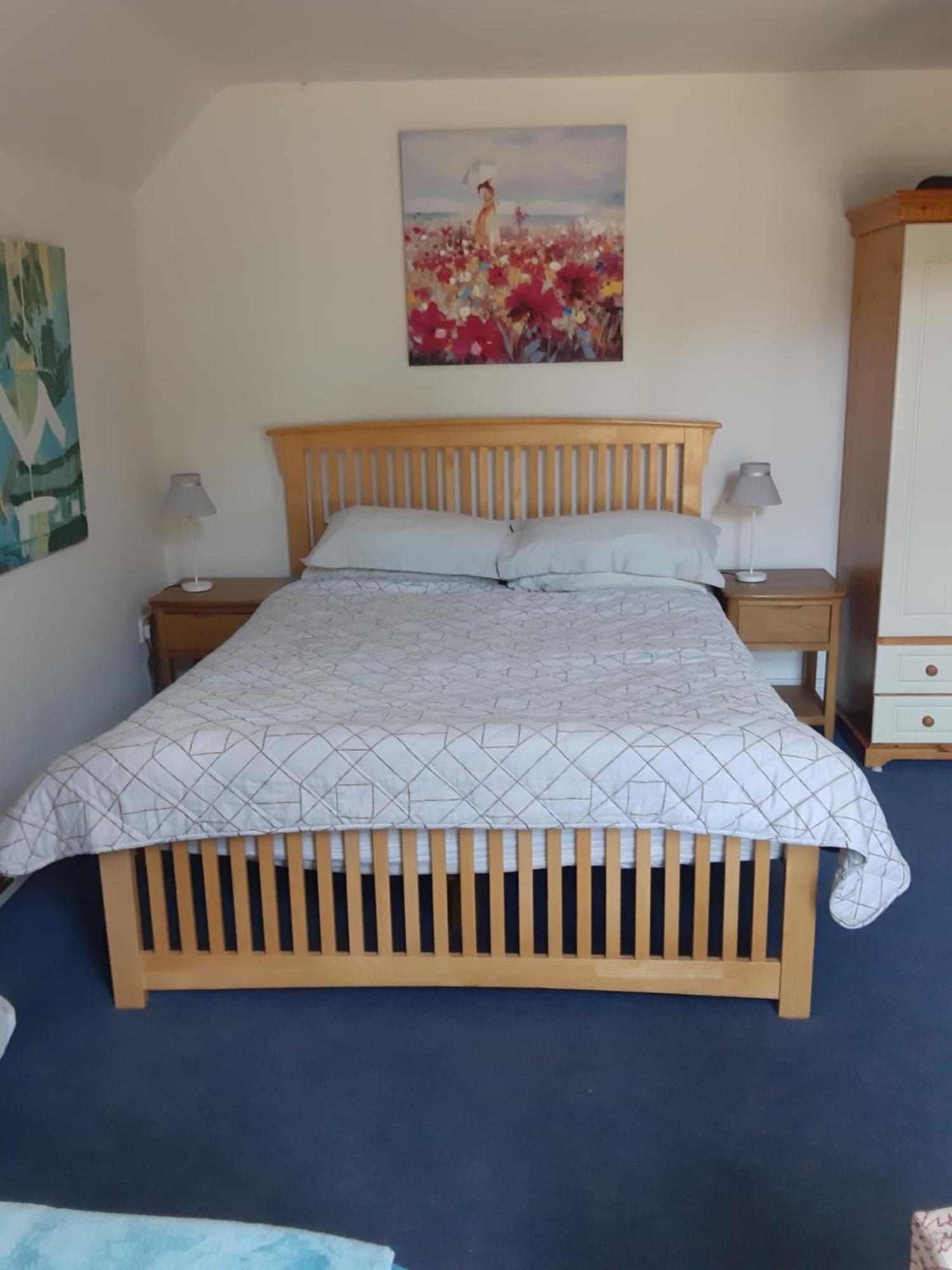 Bed and Breakfast Kyleard Ryan à Monasterevin Extérieur photo